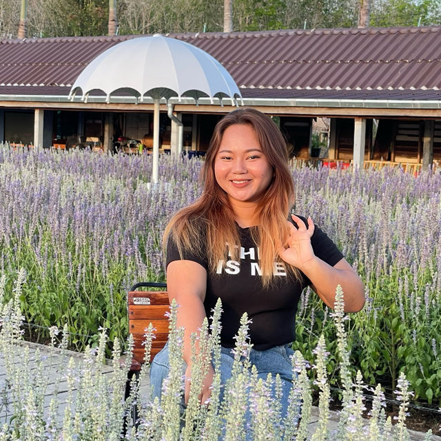 สวนลุงเวศน์ นาหมื่นศรี 2024🌻💐