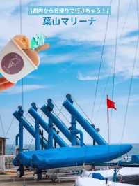 葉山女子旅きっぷバスフリーパスでお得に行こう！葉山マリーナ⛴