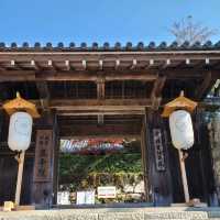 歴史ある門跡寺院⭐大原三千院⭐
