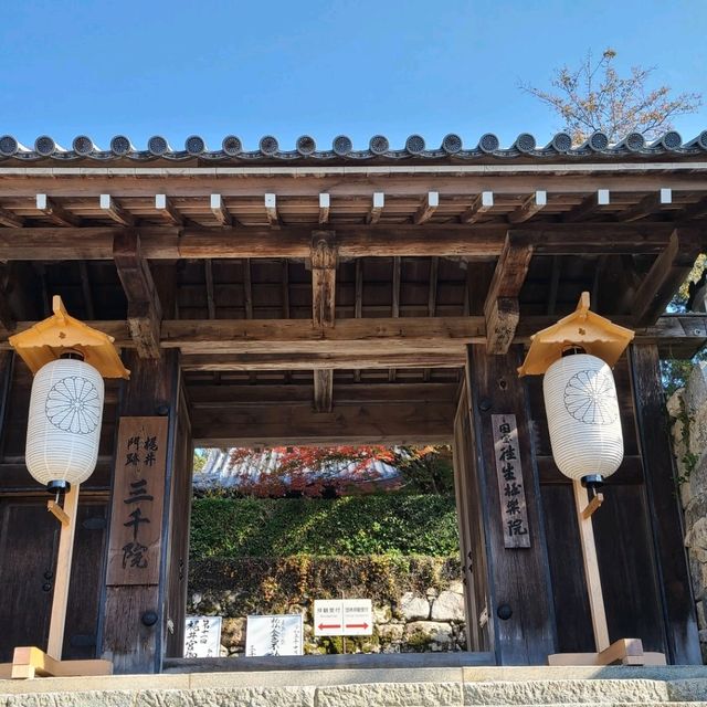 歴史ある門跡寺院⭐大原三千院⭐