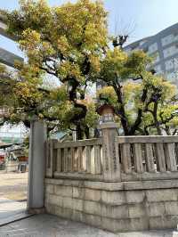 【大阪府】えべっさんで有名な商売繁盛がご利益の神社