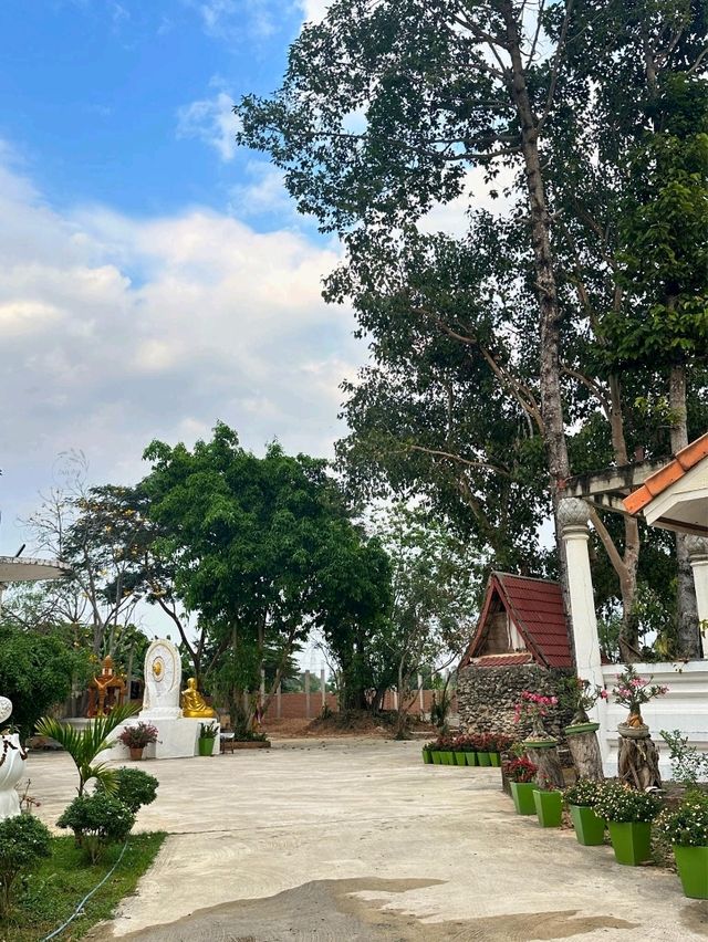 ชมอุโบสถสีทองสุดวิจิตร วัดตาลสุวรรณ