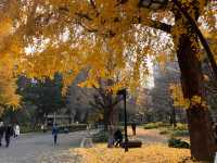 日比谷公園　@日比谷🍂