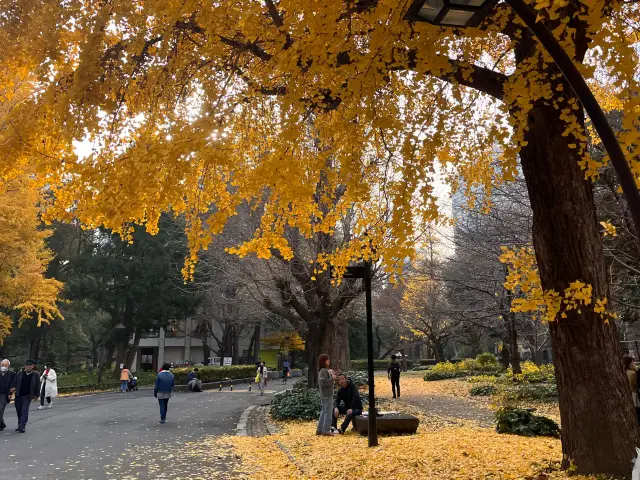 日比谷公園　@日比谷