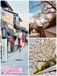 京都花見小路：櫻花盛開，適合攝影和賞櫻