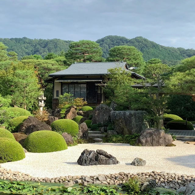 安養院庭園：療癒與慰藉的綠色天地