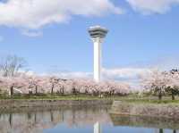 Goryōkaku Tower 