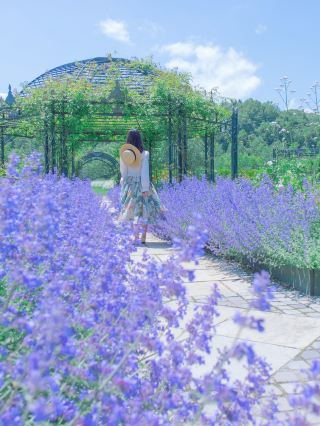 [ฮอกไกโด] จุดที่เต็มไปด้วยดอกไม้ที่เข้าถึงได้ง่ายจากสนามบินชิโตเสะแห่งใหม่ 💐