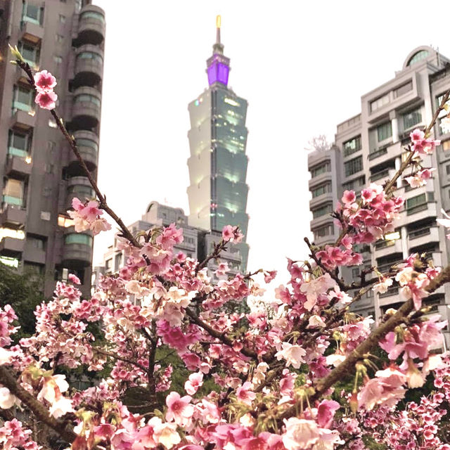 🌟 Discover Taipei's Hidden Gems: Tea Cultures and Skyline Splendors! 😍
