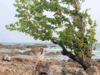 วันสบายๆ@Rayong Marriot Resort&Spa