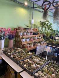 Cute Plantation Store in Hat Yai 🇹🇭