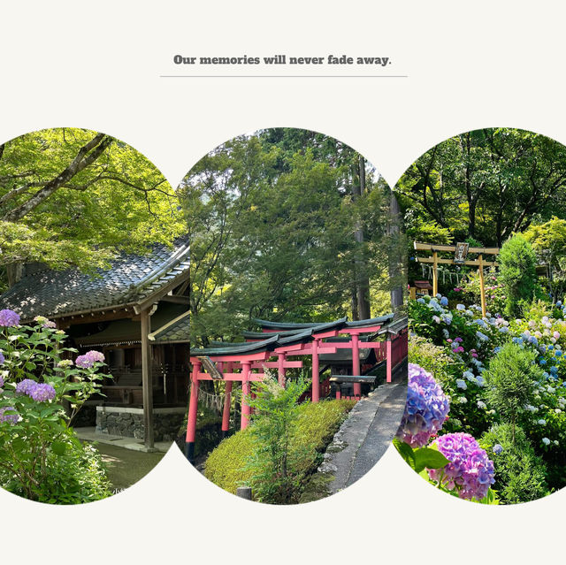 芥川櫻堤公園：城市綠洲，感受大自然之美