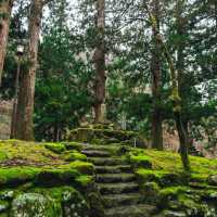 篠慄恩山寺：千年歷史，感受悠久文化