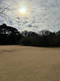 Shinjuku Gyoen National Garden