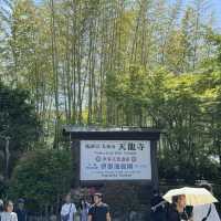 京都嵐山竹林綠竹環繞