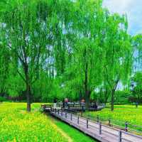 北京北海公園：中式花園天堂，感受中華園藝魅力