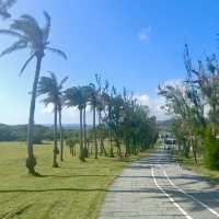 石炭記念公園：寧靜翠綠