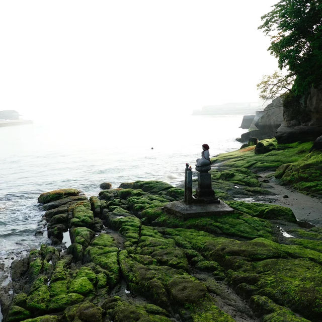 南千倉海岸：極致視覺衝擊力