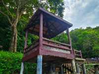 สะพานข้ามกาลเวลา 