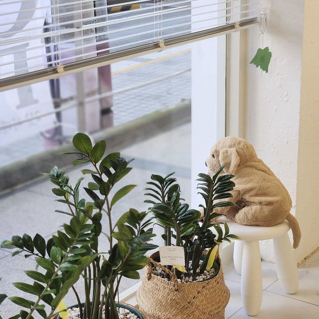 【韓国/釜山】槐亭洞カフェ☕️CAFE MUNO