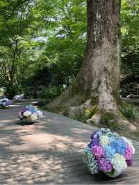 【福岡観光】有名アニメでも有名になった竈門神社