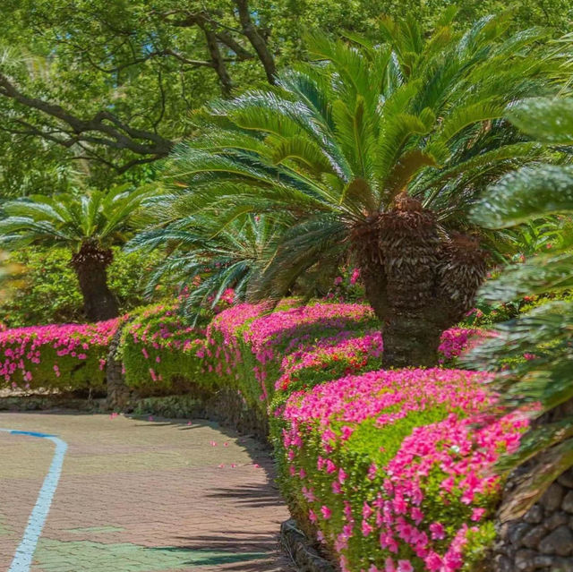 沖繩東南植物樂園～熱帶植物奇觀