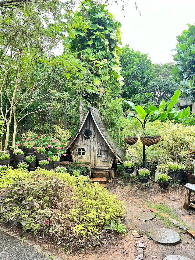 【沖縄 本部】雨の日でも楽しめるオススメSPOT🌸