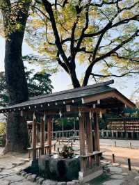 🇯🇵日本福岡景點⛩️ 寶滿宮 竈門神社🌸