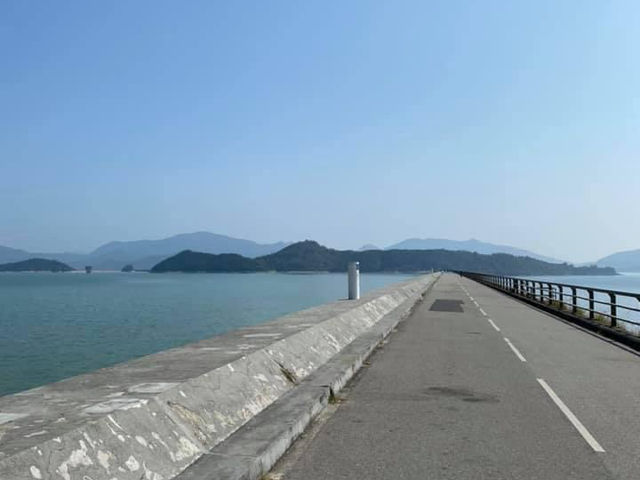 「春天好去處2024：沙田至大美督單車遊」