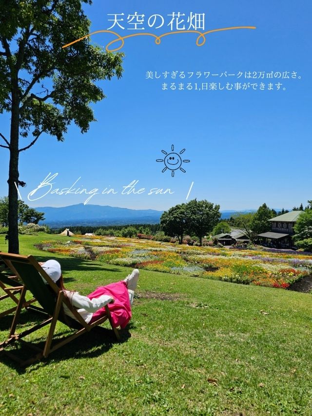 【大分/天国の花畑】天空に見たこともない美しい場所があった！！