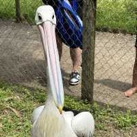 Caversham Wildlife Park