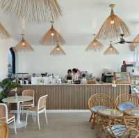 The shark coffee 