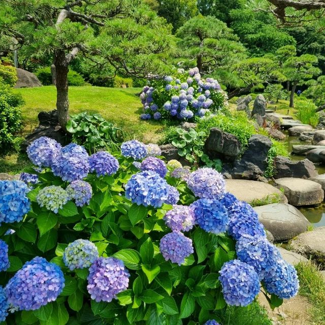 입장권이 하나도 안 아까운 도쿄의 조용한 정원
