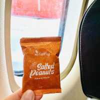 ✈️ Flying back from Subang Airport 