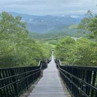 德裕山國立公園：大自然魅力