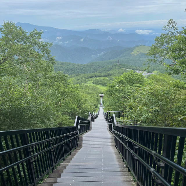 德裕山國立公園：大自然魅力