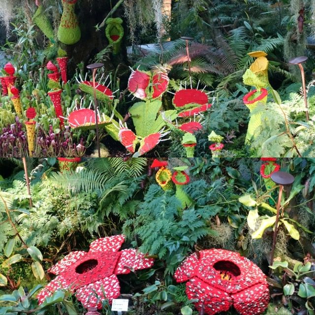 新加坡奇幻世界花園😻
