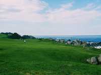 Tanesashi Coast Natural Lawn