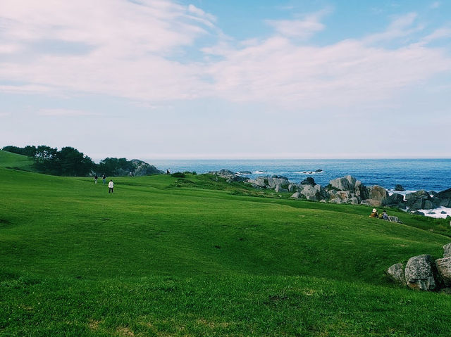 Tanesashi Coast Natural Lawn