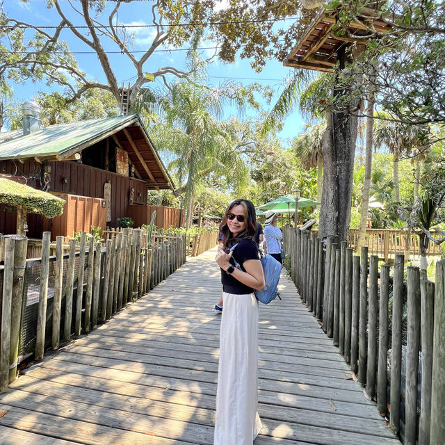 Alligator 🐊 Farm at St Augustine establish 1800