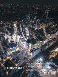 【夜景】東京近郊で景色がキレイなスポット5選！FOCUS Vol.049