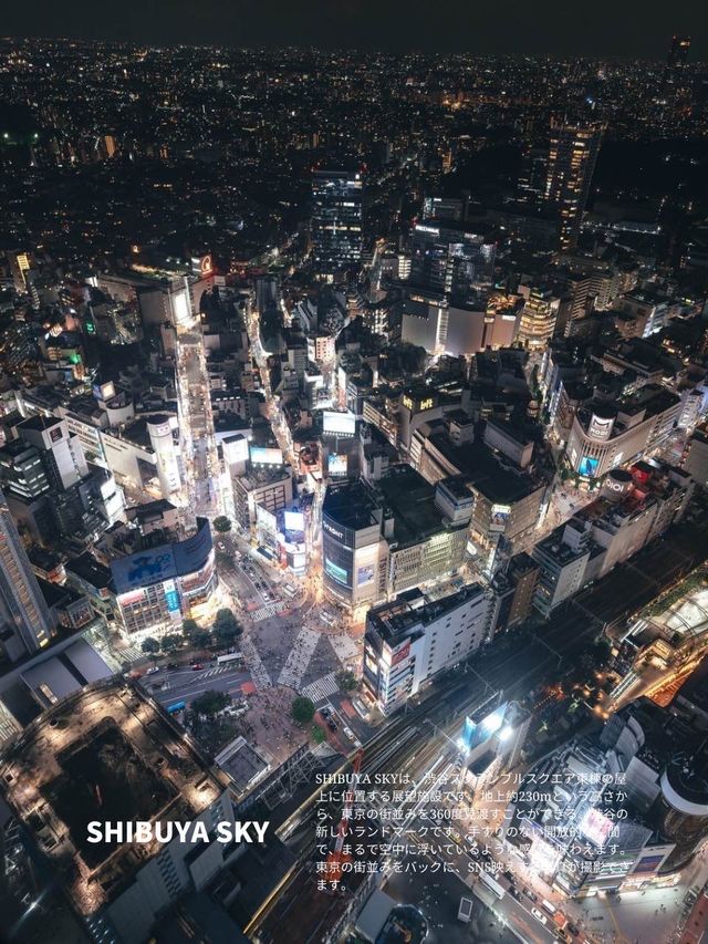 【夜景】東京近郊で景色がキレイなスポット5選！FOCUS Vol.049