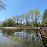 Central Park, Utsunomiya, Japan