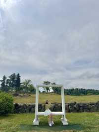 귀여운 젖소들을 아주 가까이에서 볼 수 있는 이색 목장 ✨
