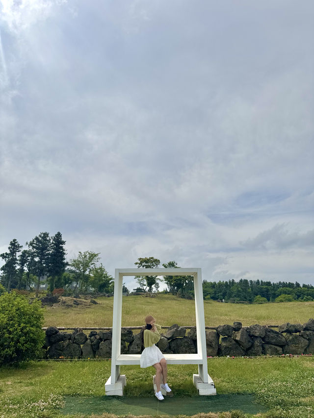 귀여운 젖소들을 아주 가까이에서 볼 수 있는 이색 목장 ✨