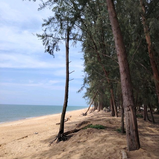 Kemaman