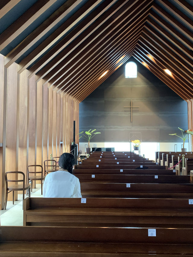 성경 속 노아의 방주가 제주도의 한 교회로⛪️