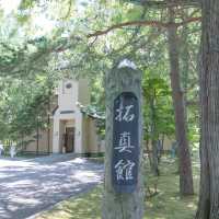 【北海道】白樺並木が美しい！美瑛の観光スポット