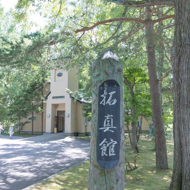 【北海道】白樺並木が美しい！美瑛の観光スポット
