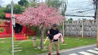 kyoto shi cafe เชียงราย